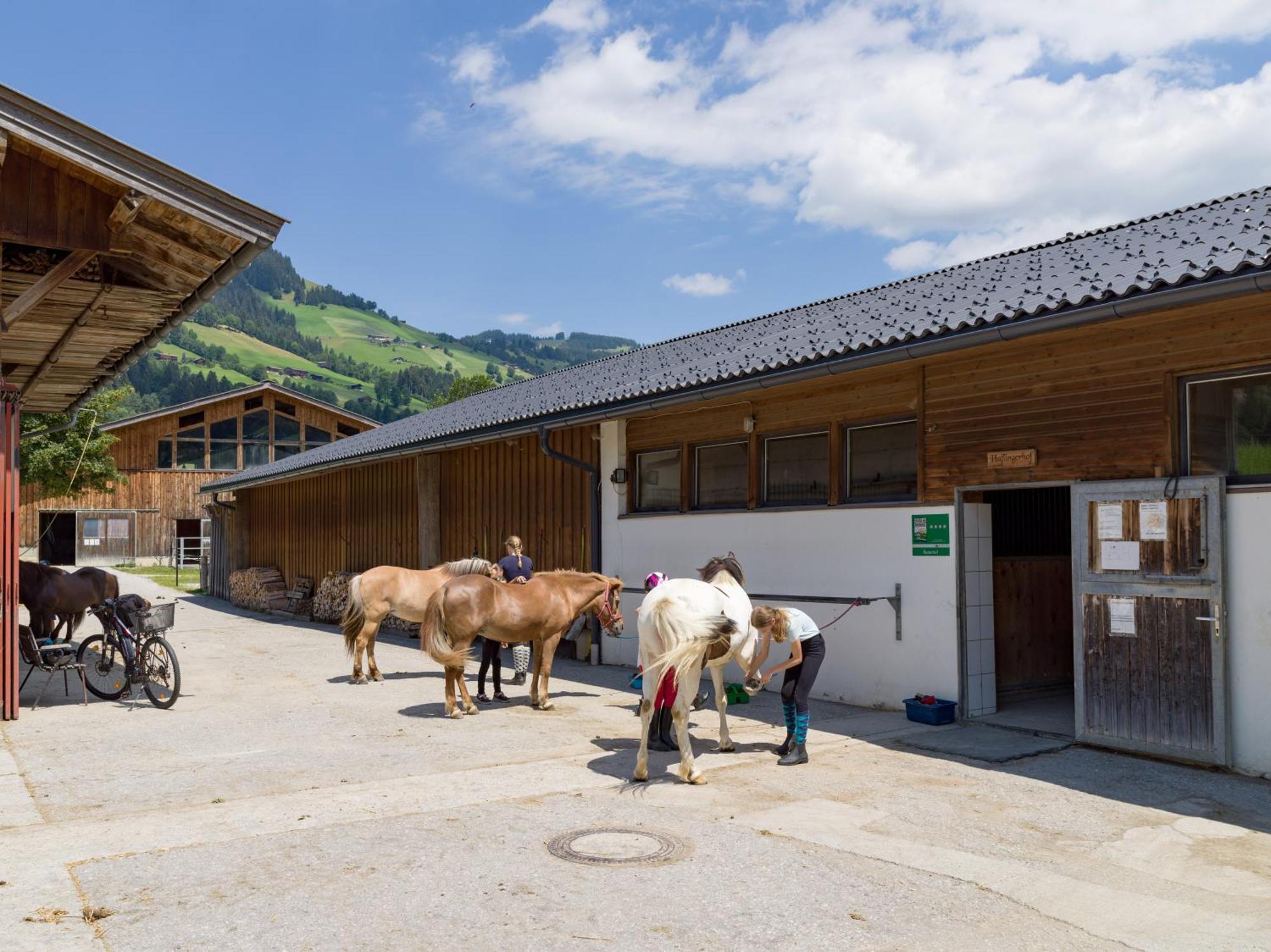 Appartements Haflingerhof Westendorf Exterior foto